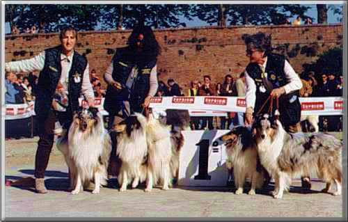 Miglior Gruppo di Allevamento dell'Expo di Siena 