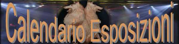 Expo!!!!!!!!!!!!!!