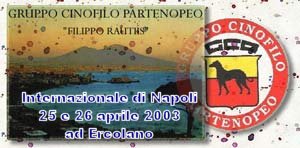 Clicca qui per iscrizione e elenco giudici