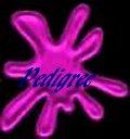 Click here for pedigree
