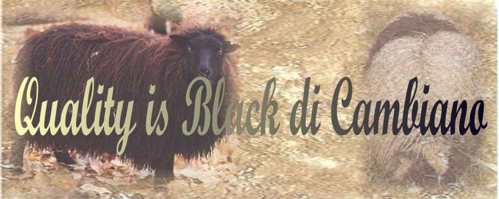 Quality is Black di Cambiano